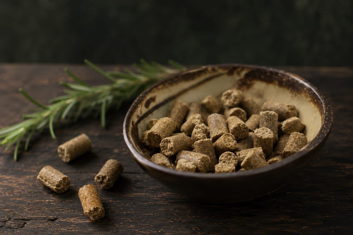 Ciotola di ceramica con crocchette pressate a freddo e rosmarino